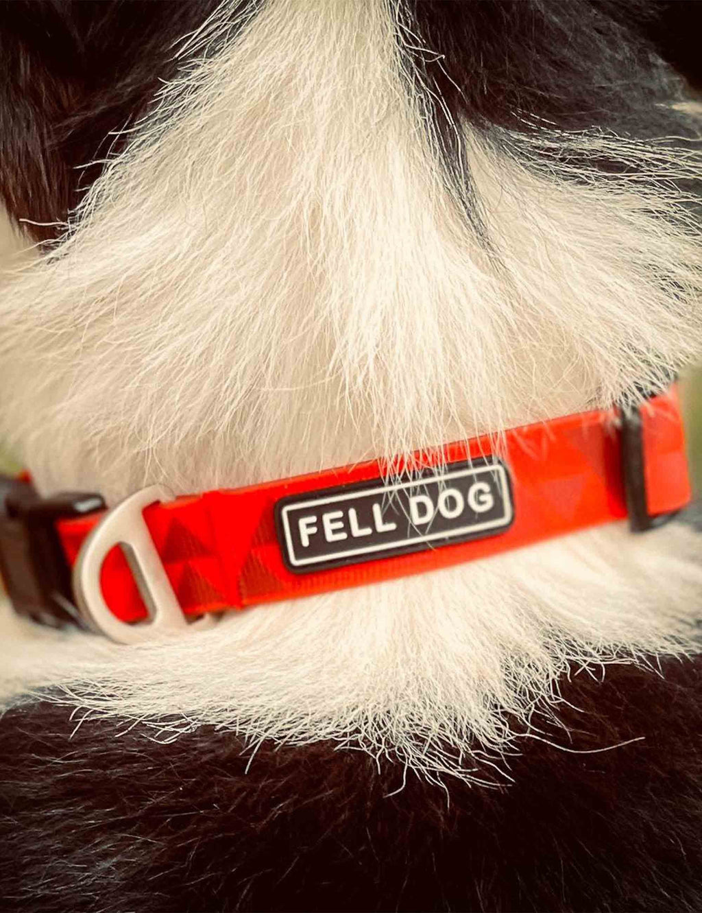 FEL DRE COL S FEL DRENCH COL SML - ORA