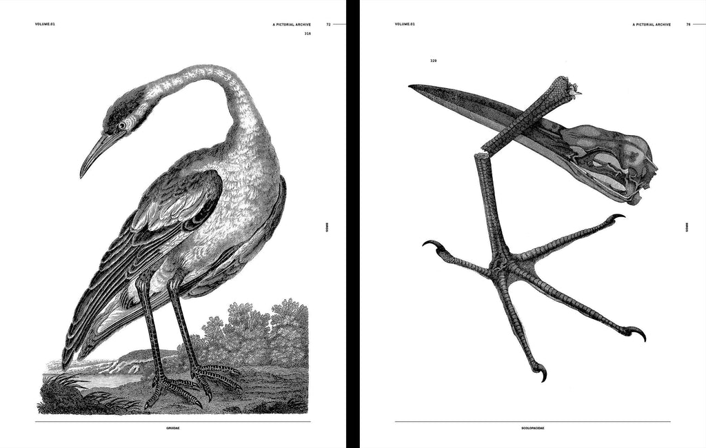 Birds Reference Book Book by James Kale