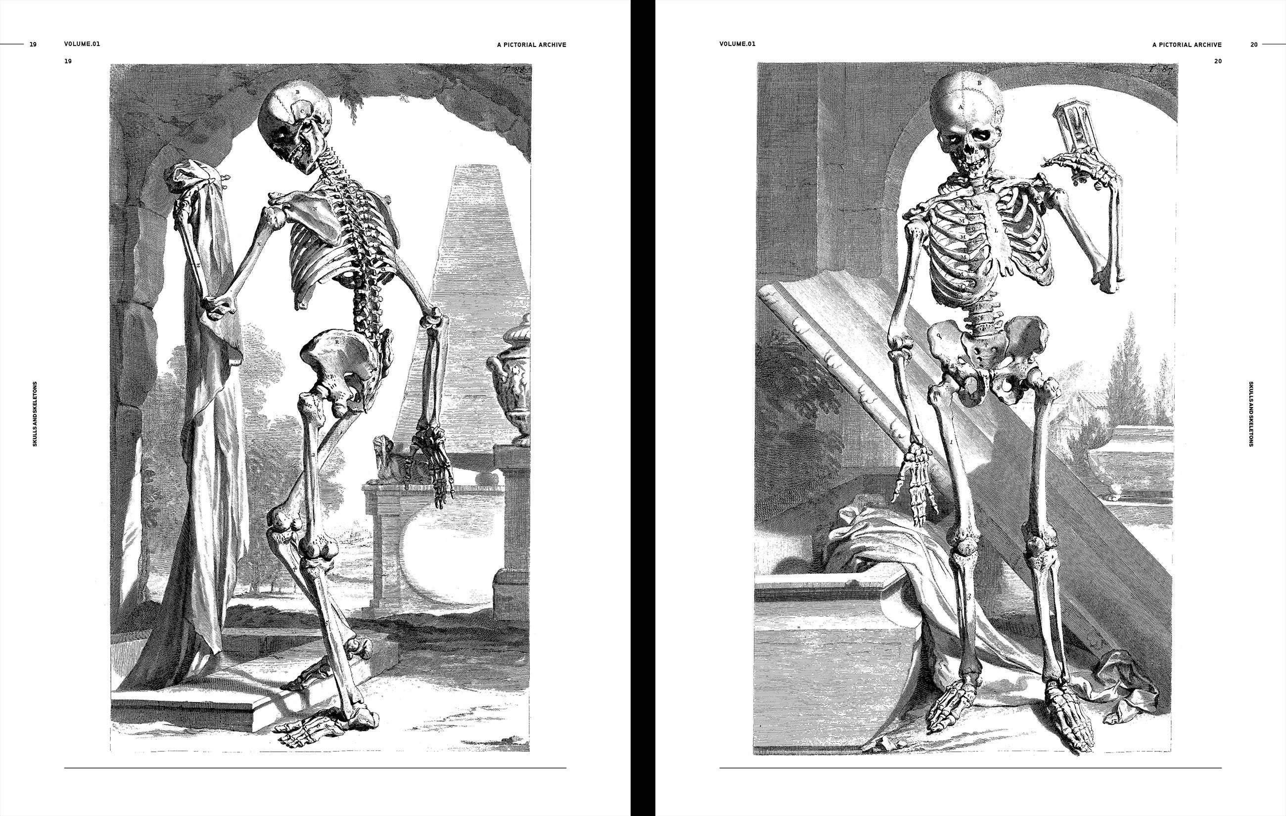 Skulls & Skeletons Book by Kale James