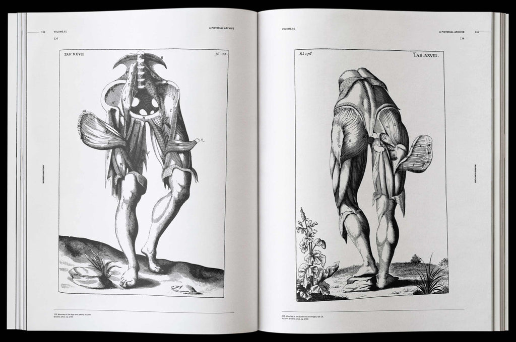 Morbid Anatomy Book by James Kale