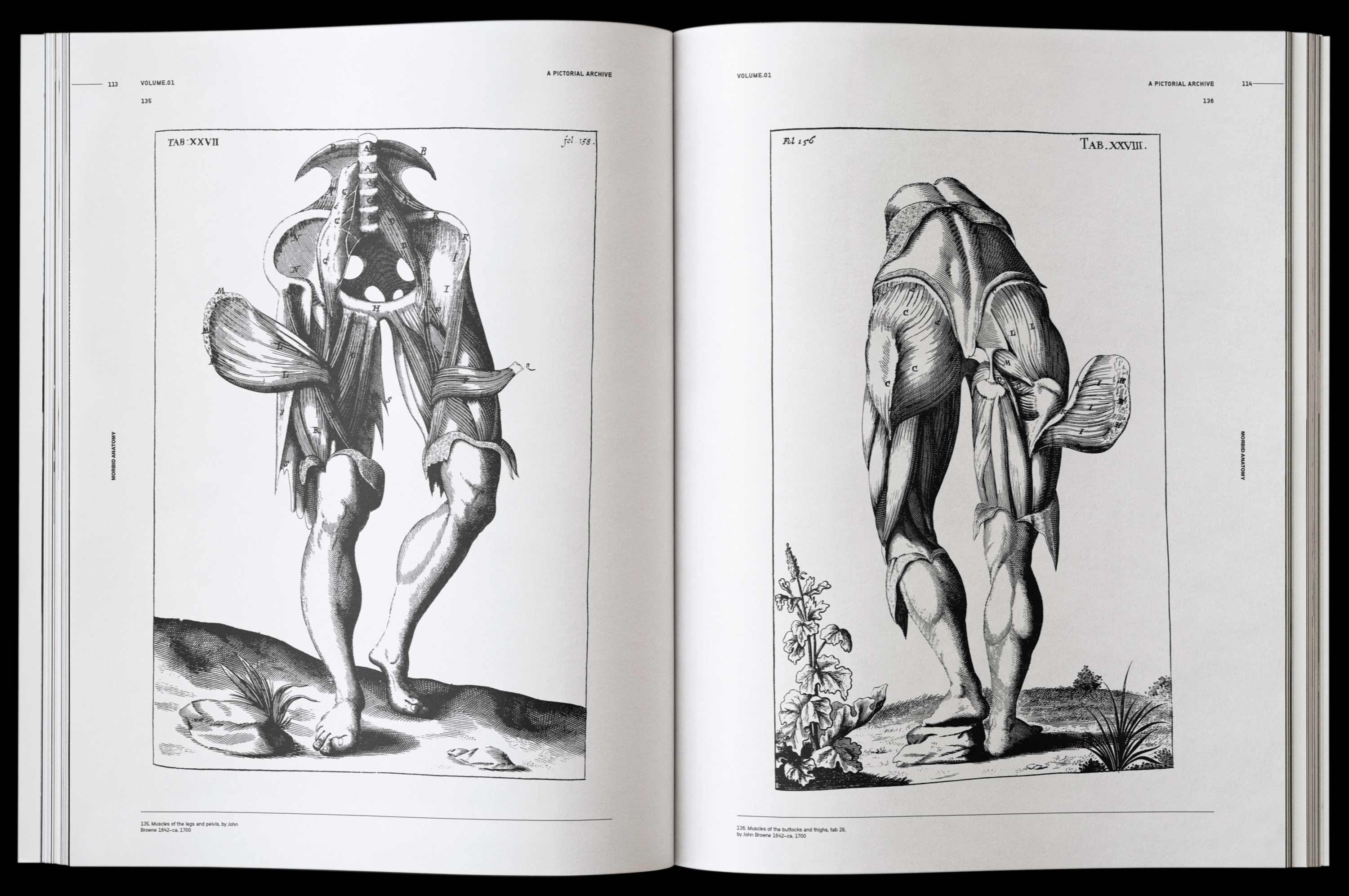 Vault Editions Morbid Anatomy Book by James Kale