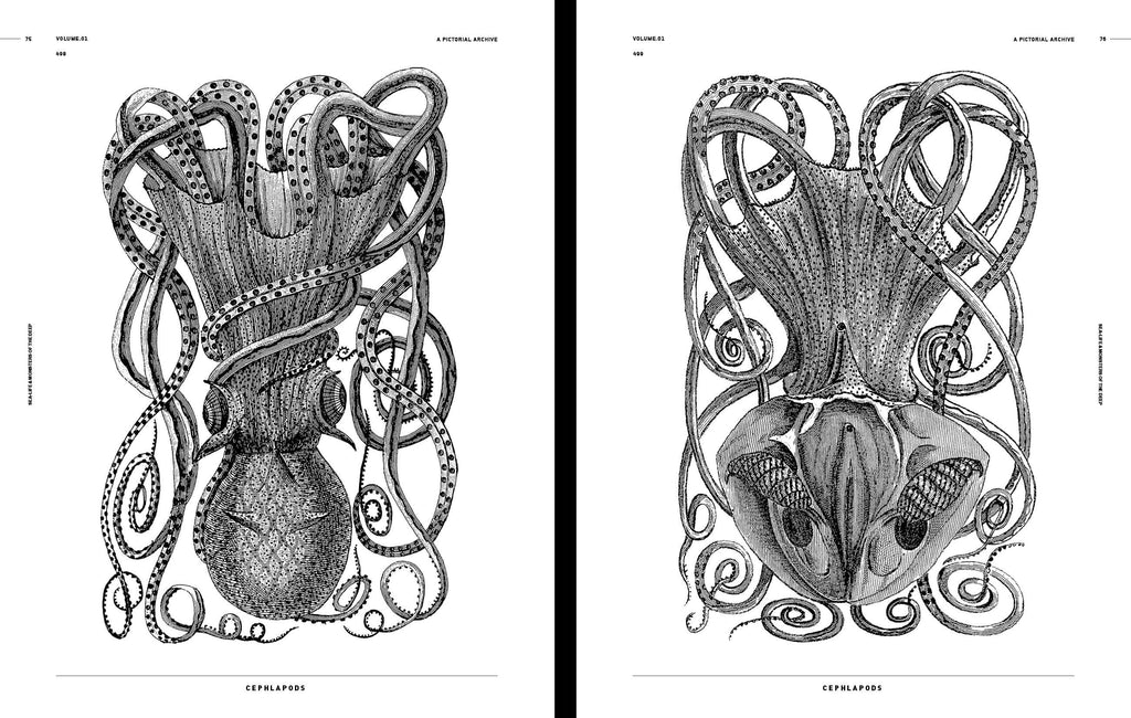 Sea-life & Monsters of the Deep open pages featuring black-and-white cephalopod ink illustrations.
