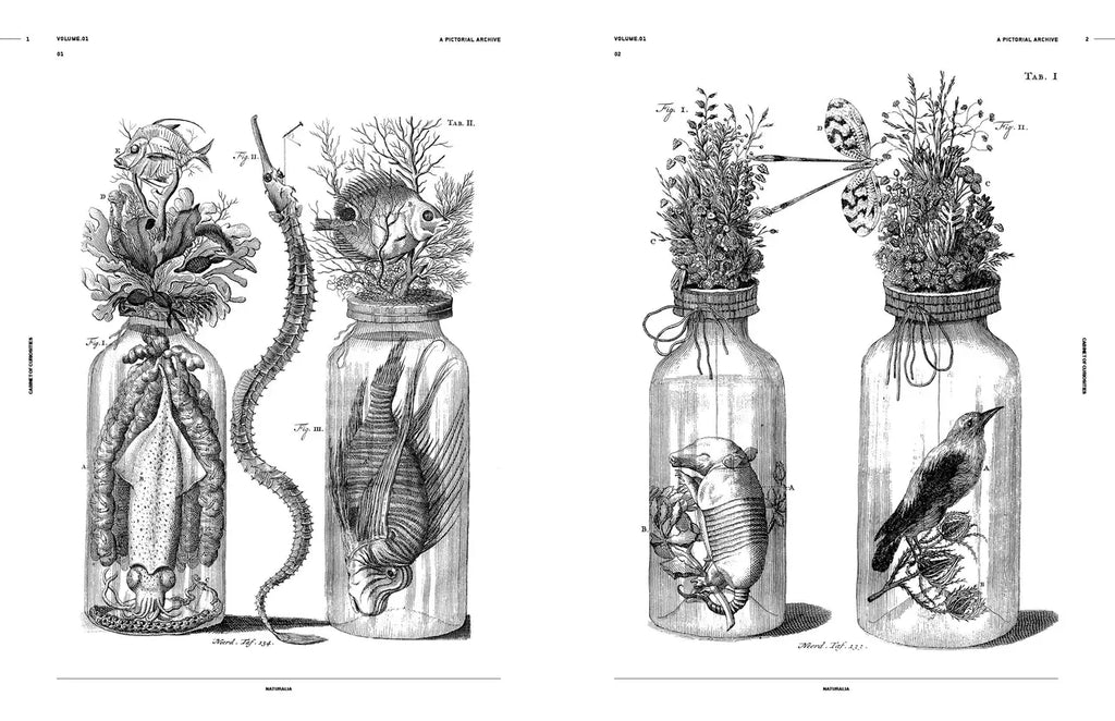 Open book spread with black-and-white engraved drawings of plants in bottles