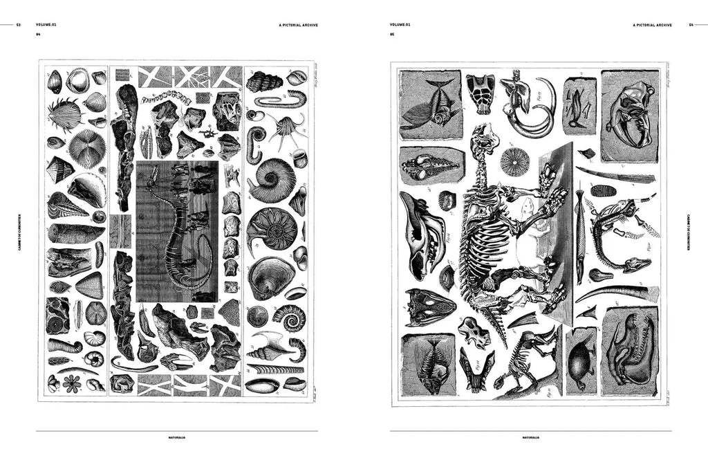 Open book spread with black-and-white engravings of artifacts, tools, and specimens