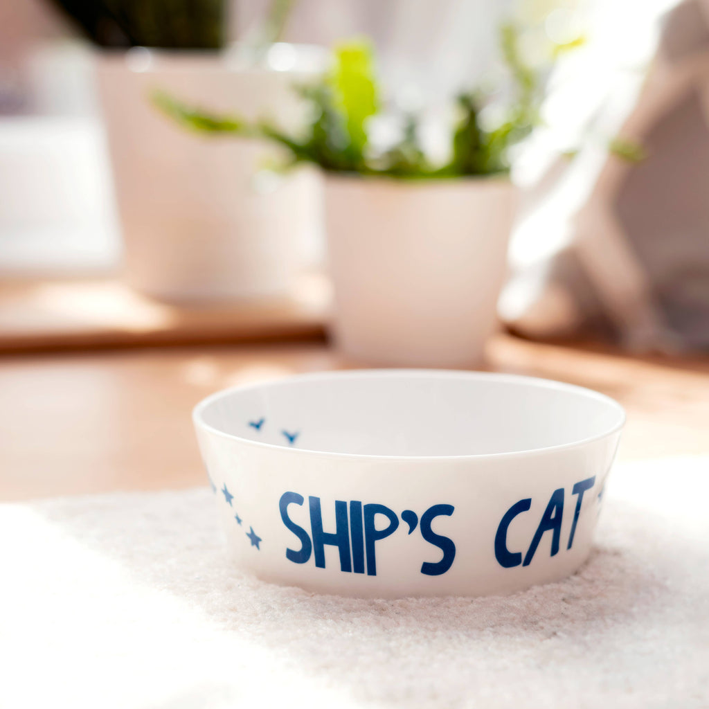 White cat bowl with blue “SHIP'S CAT” text and small star icons near the rim