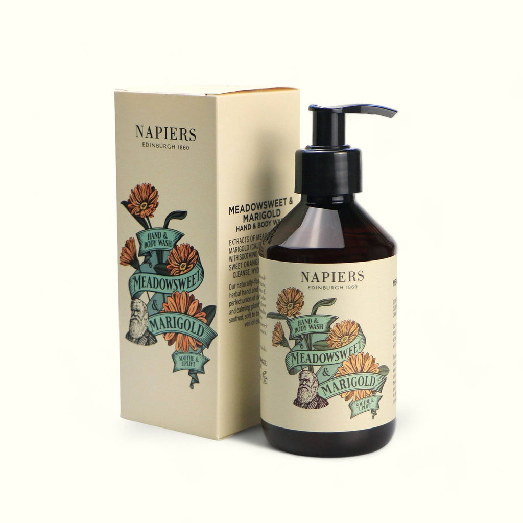 Hand and body wash bottle with black pump and matching product box, Meadowsweet & Marigold