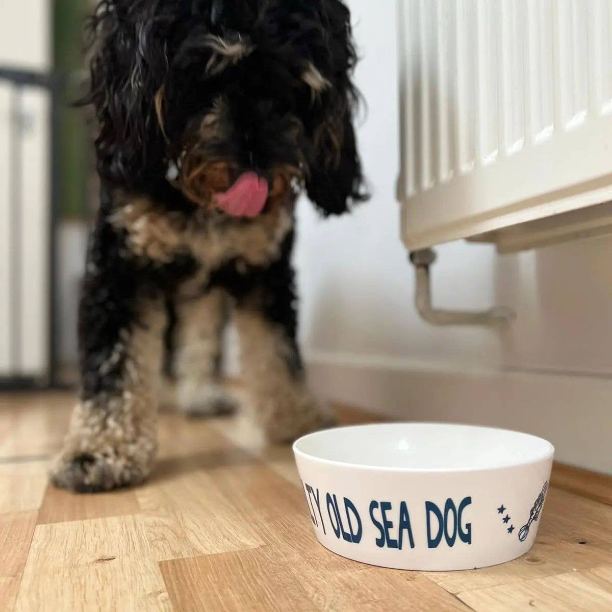 Salty Sea Dog Hand Decorated Dog Bowl - Small