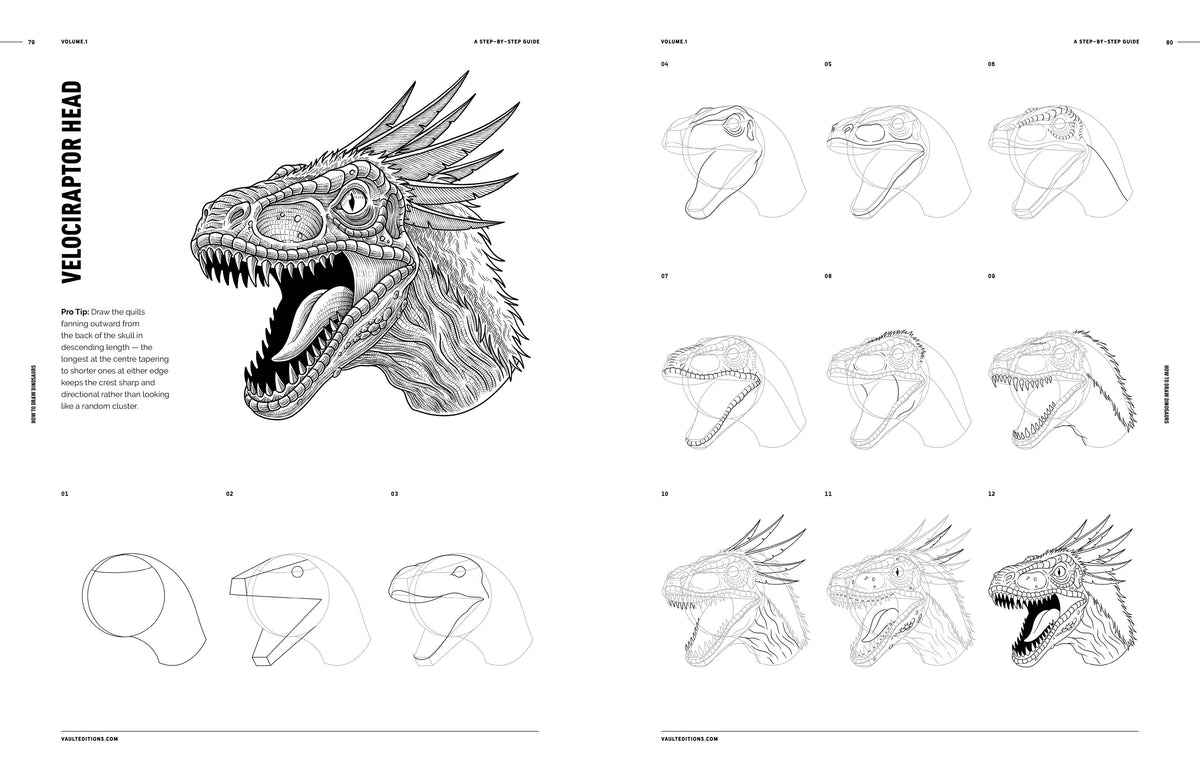 Vault Editions UK How to Draw Dinosaurs, a Step by Step Guide for Beginners