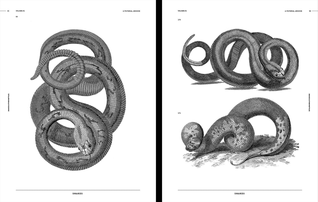 Open book spread with black-and-white engravings of coiled snakes