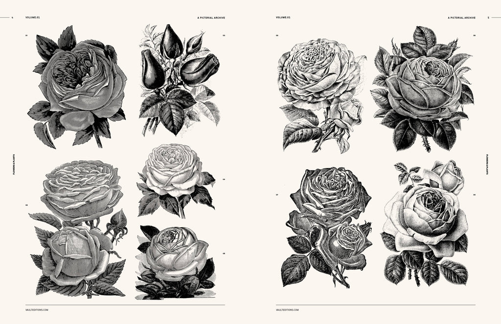 Flowers and Plants Book by James Kale