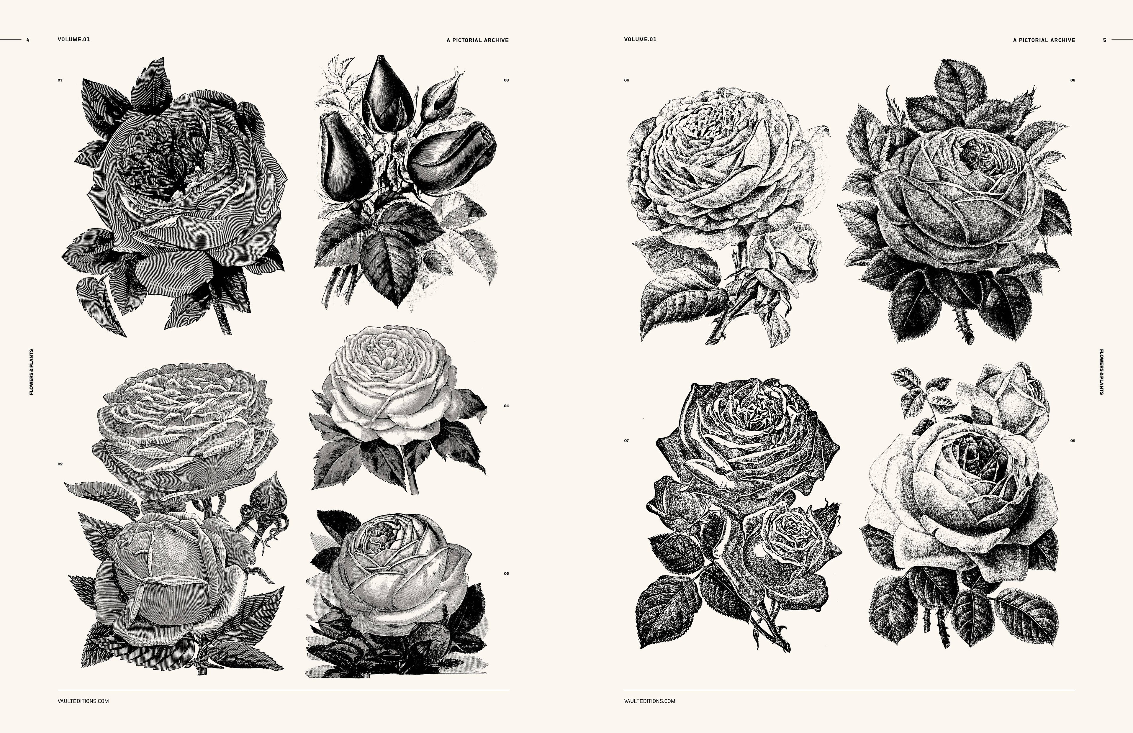 Vault Editions Flowers and Plants Book by James Kale