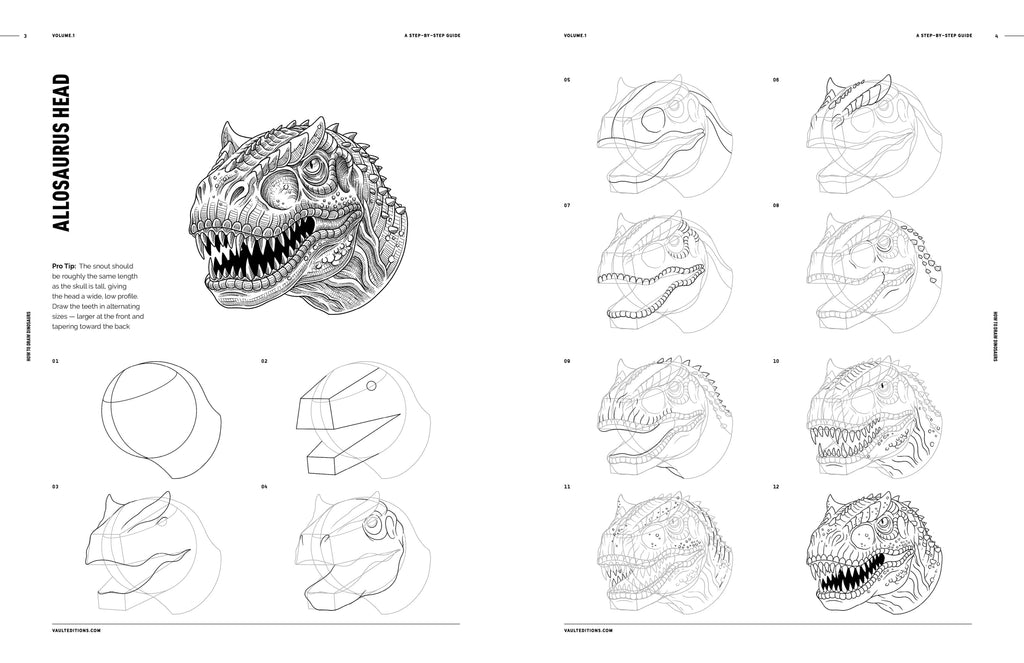 Open book page with step-by-step dinosaur head sketches and outline diagrams