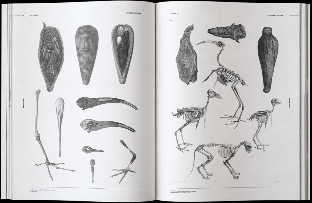 Open Ancient Egypt book pages with black-and-white tomb and animal figure drawings