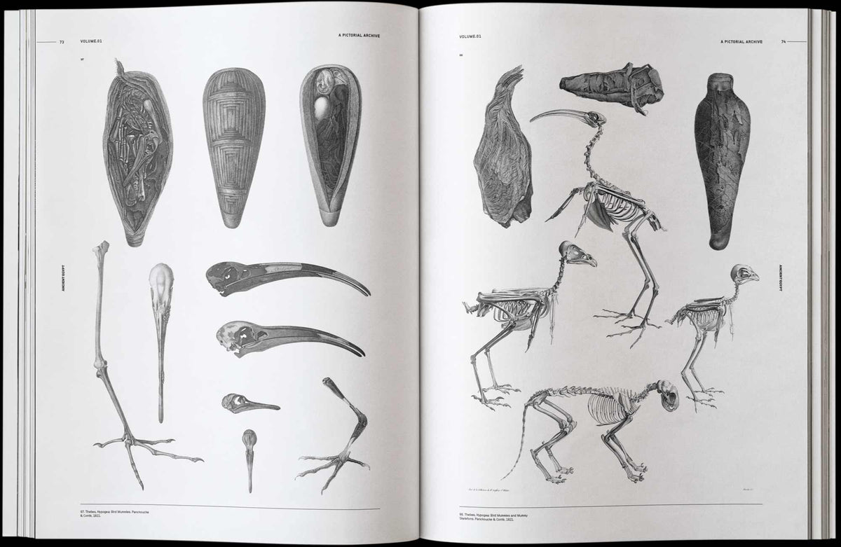 Vault Editions UK Ancient Egypt: An Image Archive for Artists and Designers