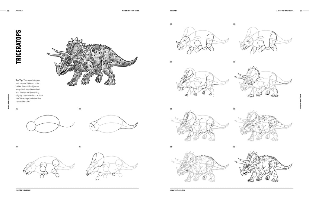 Open book page with dinosaur step-by-step drawing guides and triceratops sketches