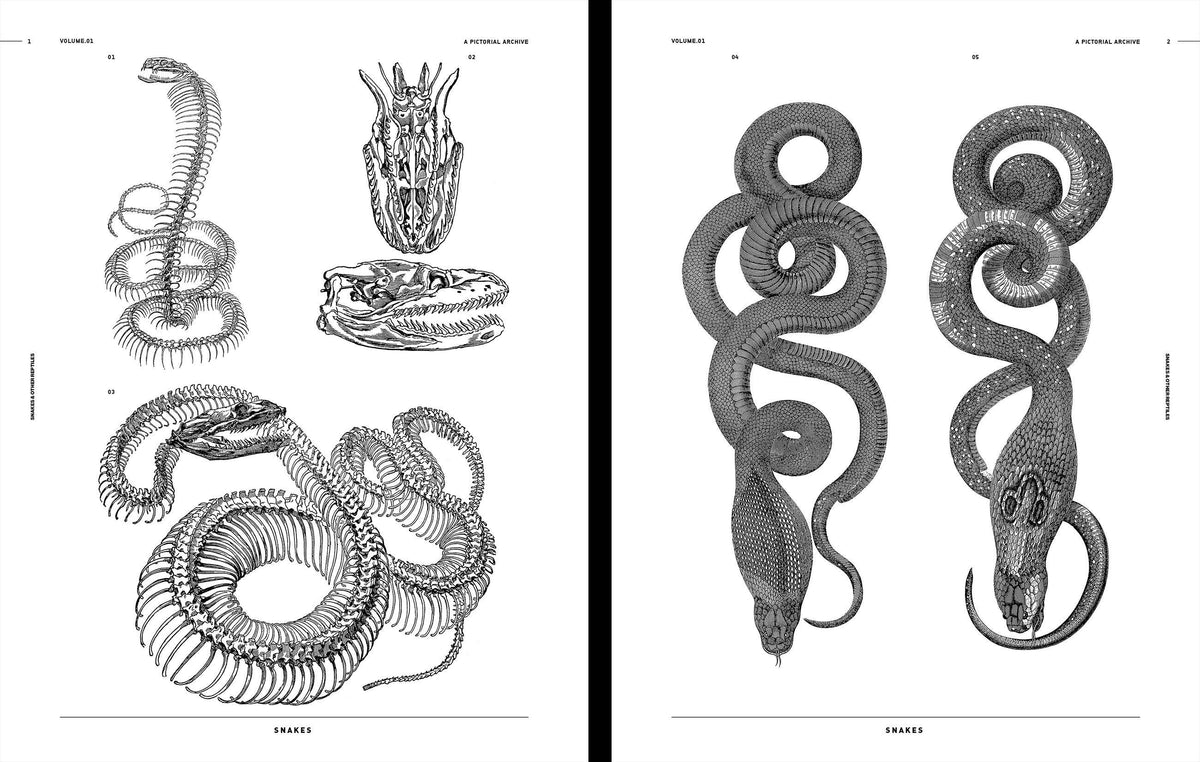 Vault Editions UK Snakes & Other Reptiles, an Image Archive