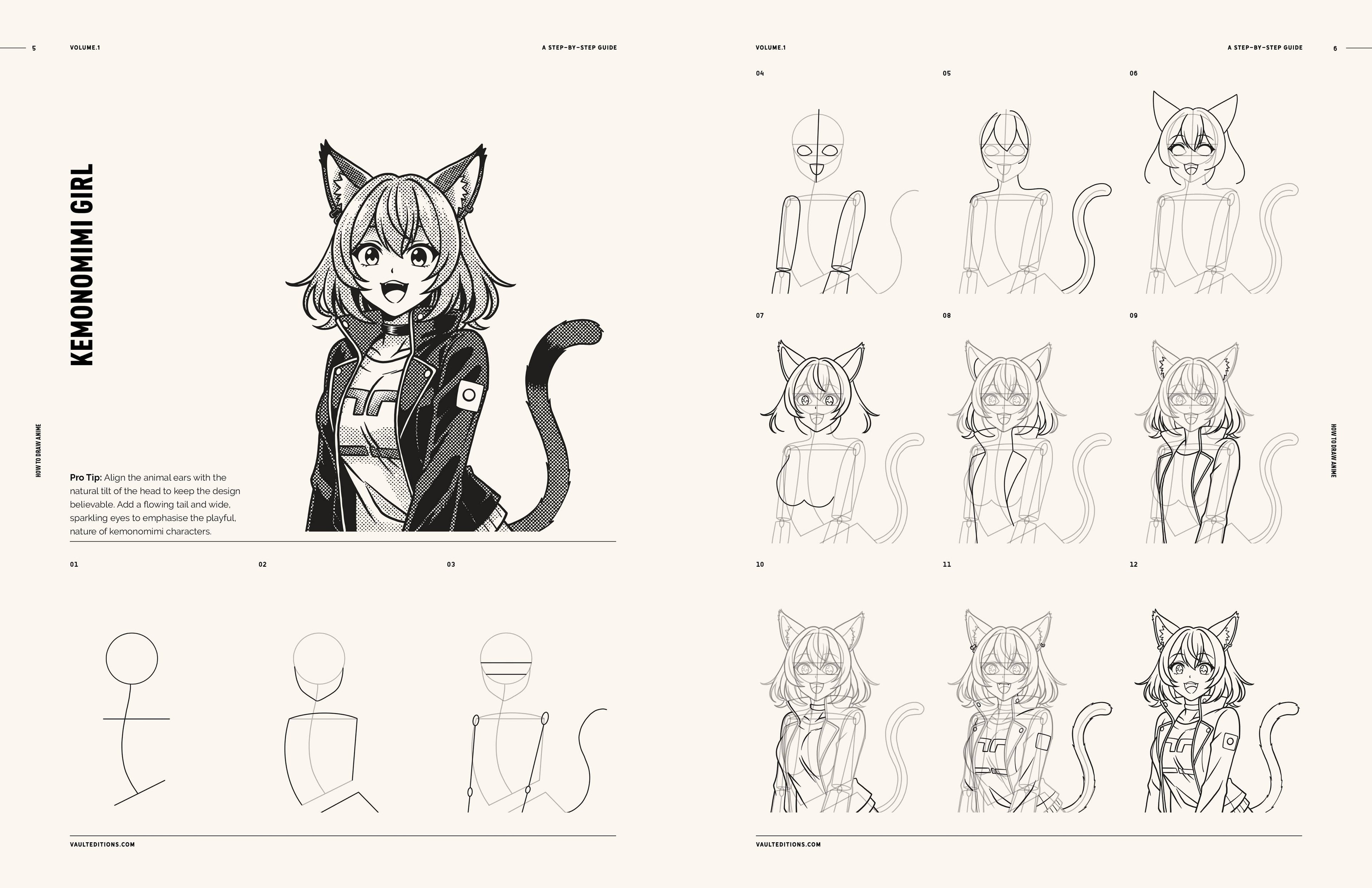 Vault Editions How to Draw Manga and Anime for Beginners Book by James Kale