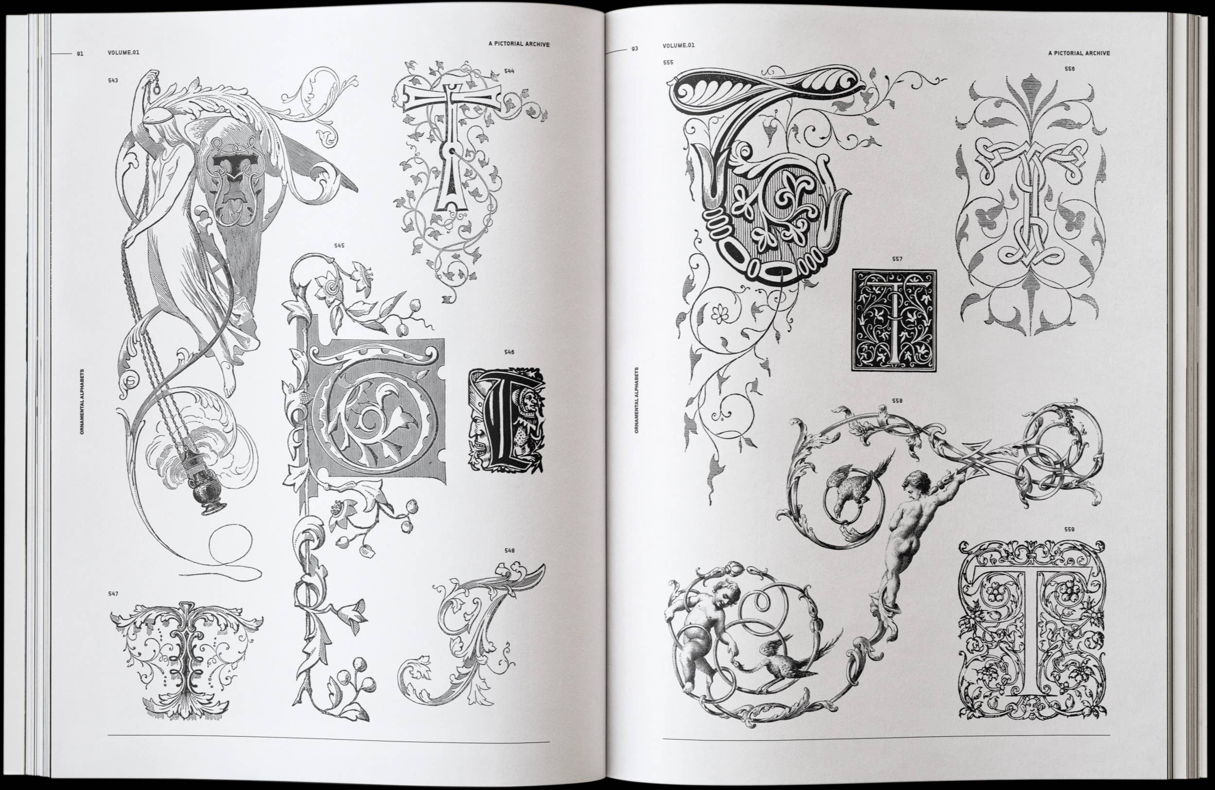 Vault Editions Ornamental Lettering: Initials & Decorative Alphabets Book by James Kale