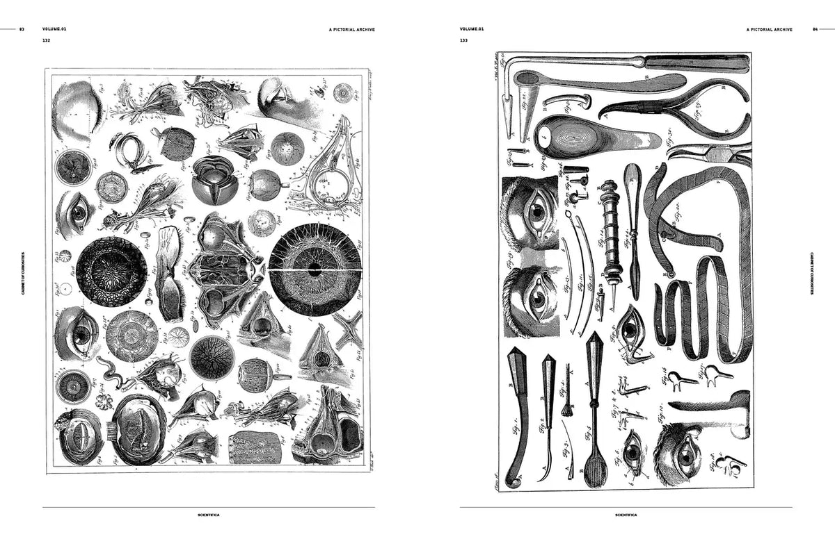 Vault Editions UK Cabinet of Curiosities: An Image Archive