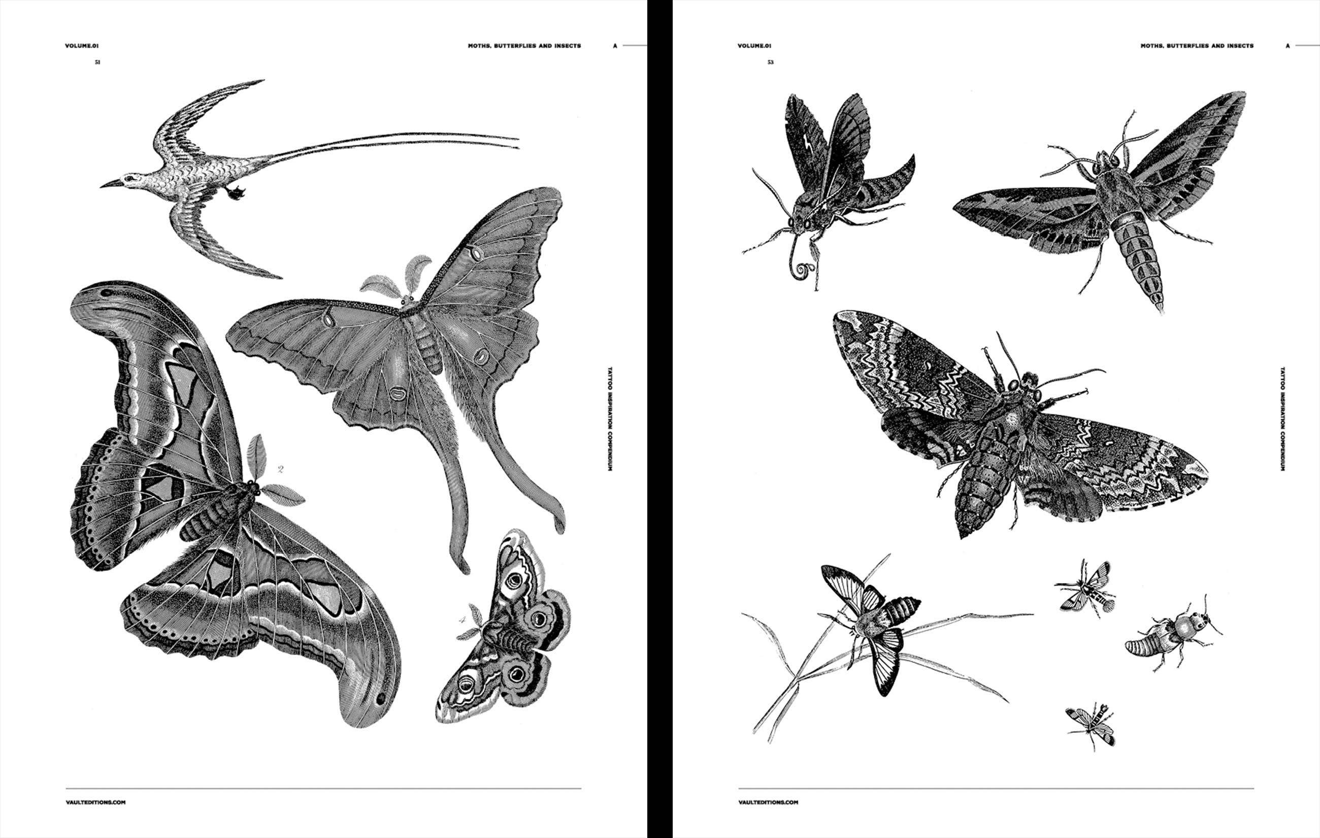 Tattoo Inspiration Compendium Book by Kale James - Volume 1