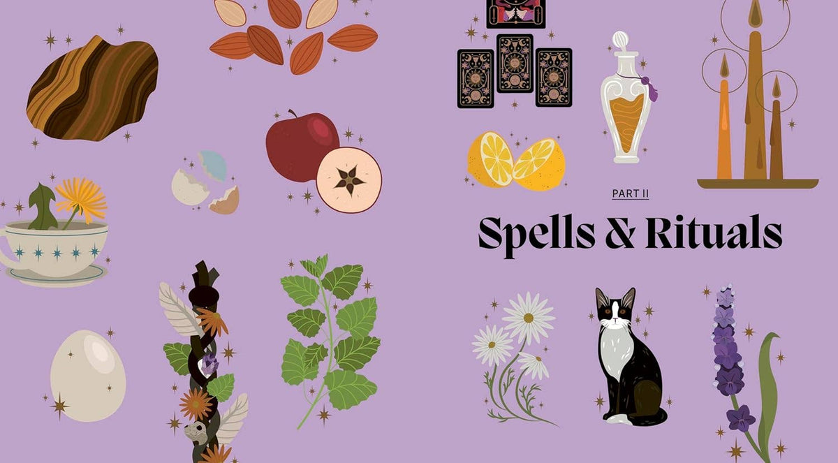Spell book spread with herbs, potions, candles, and a black cat illustration