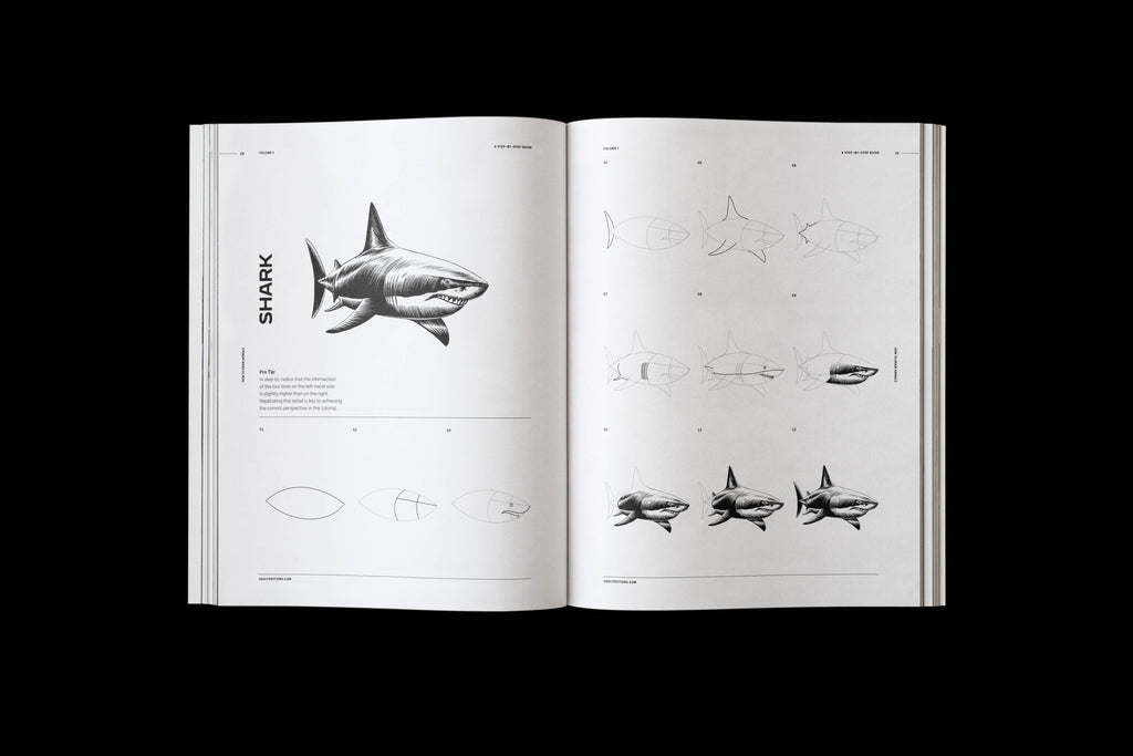 How to Draw Animals Book by James Kale