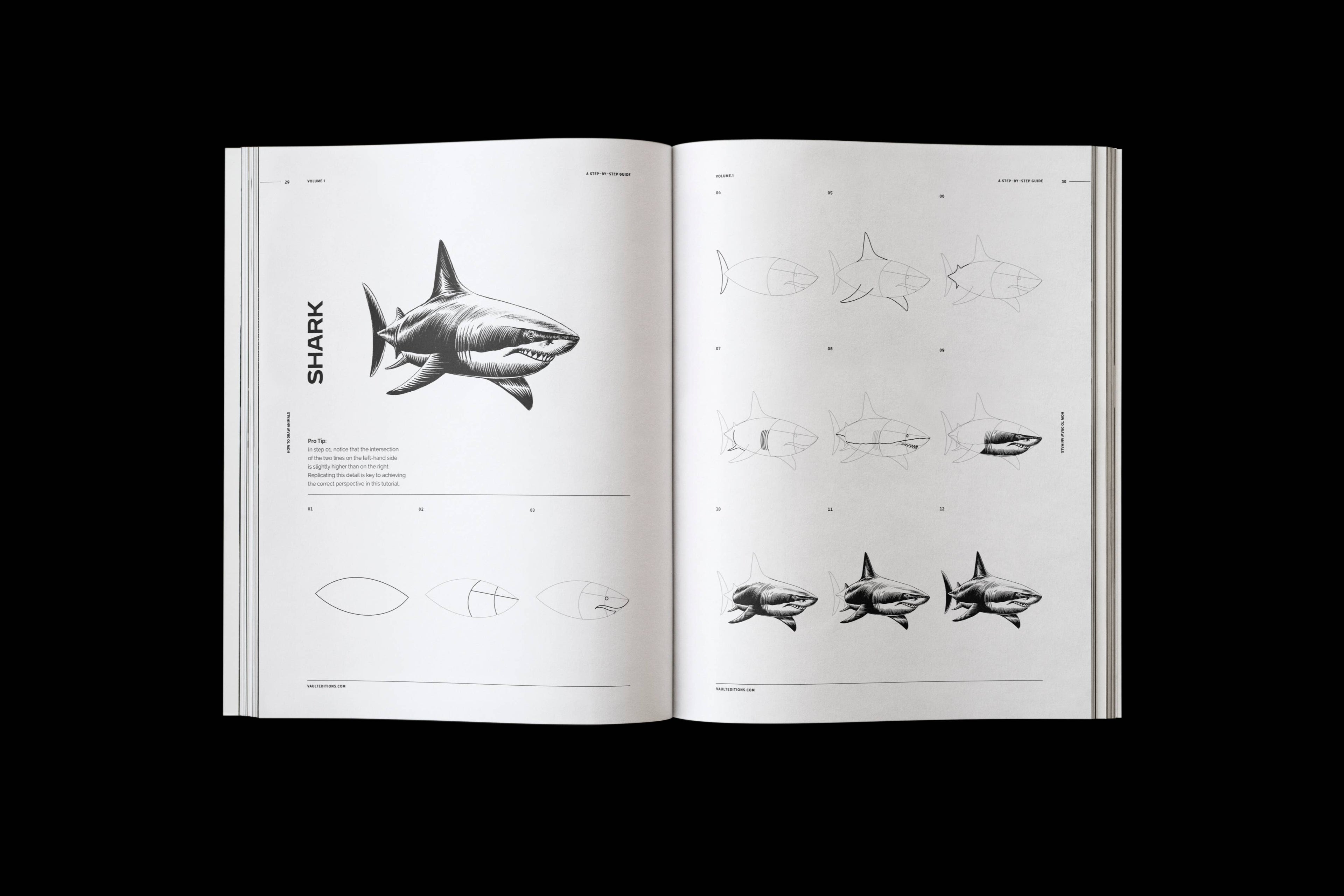 Vault Editions How to Draw Animals Book by James Kale