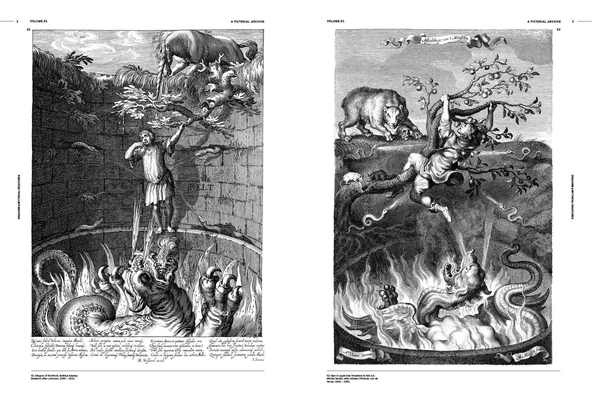 Vault Editions UK Dragons & Mythical Creatures, an Image Archive