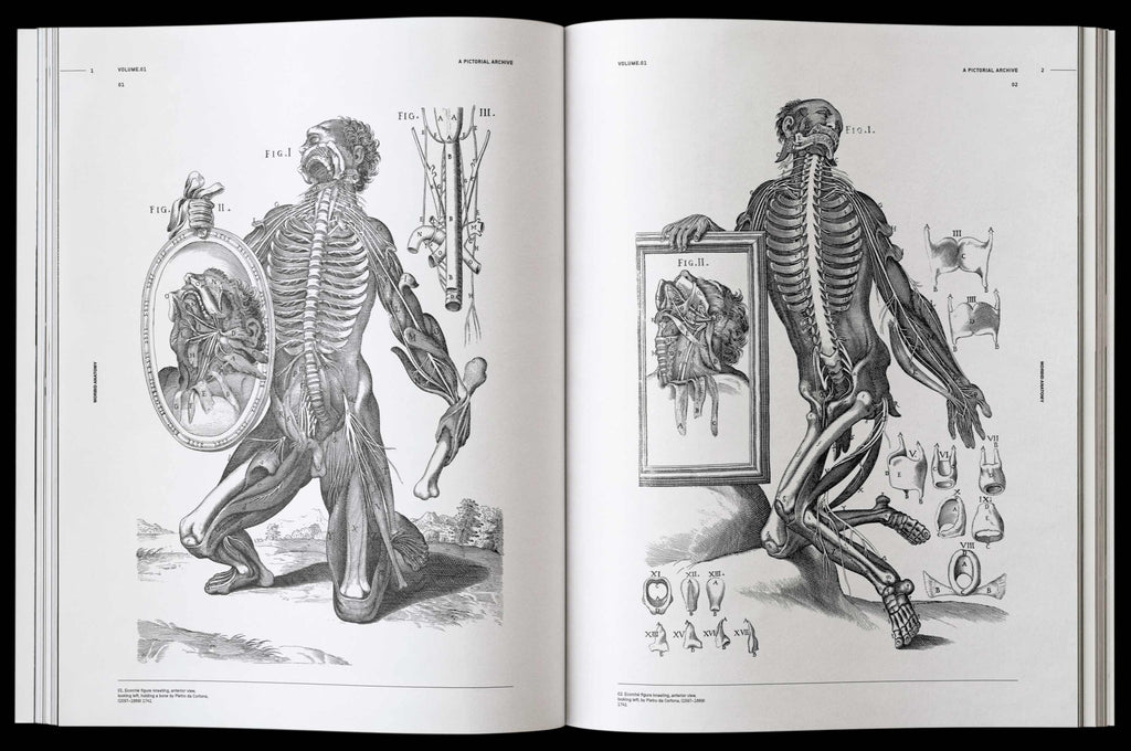 Morbid Anatomy Book by James Kale