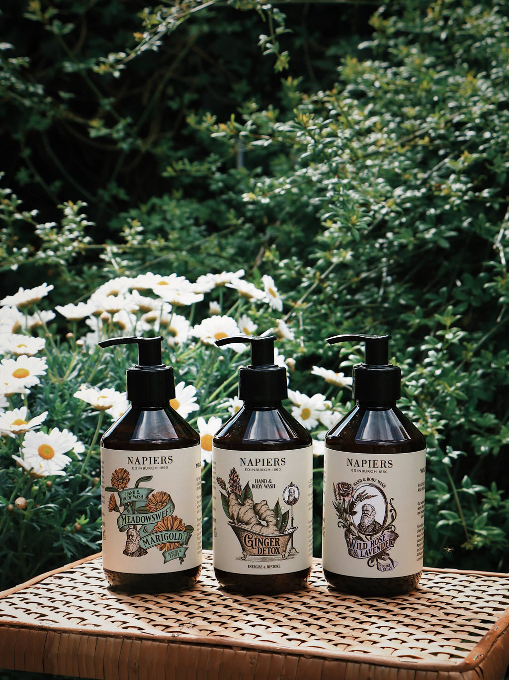 Set of three hand and body wash bottles with black pumps and assorted front labels