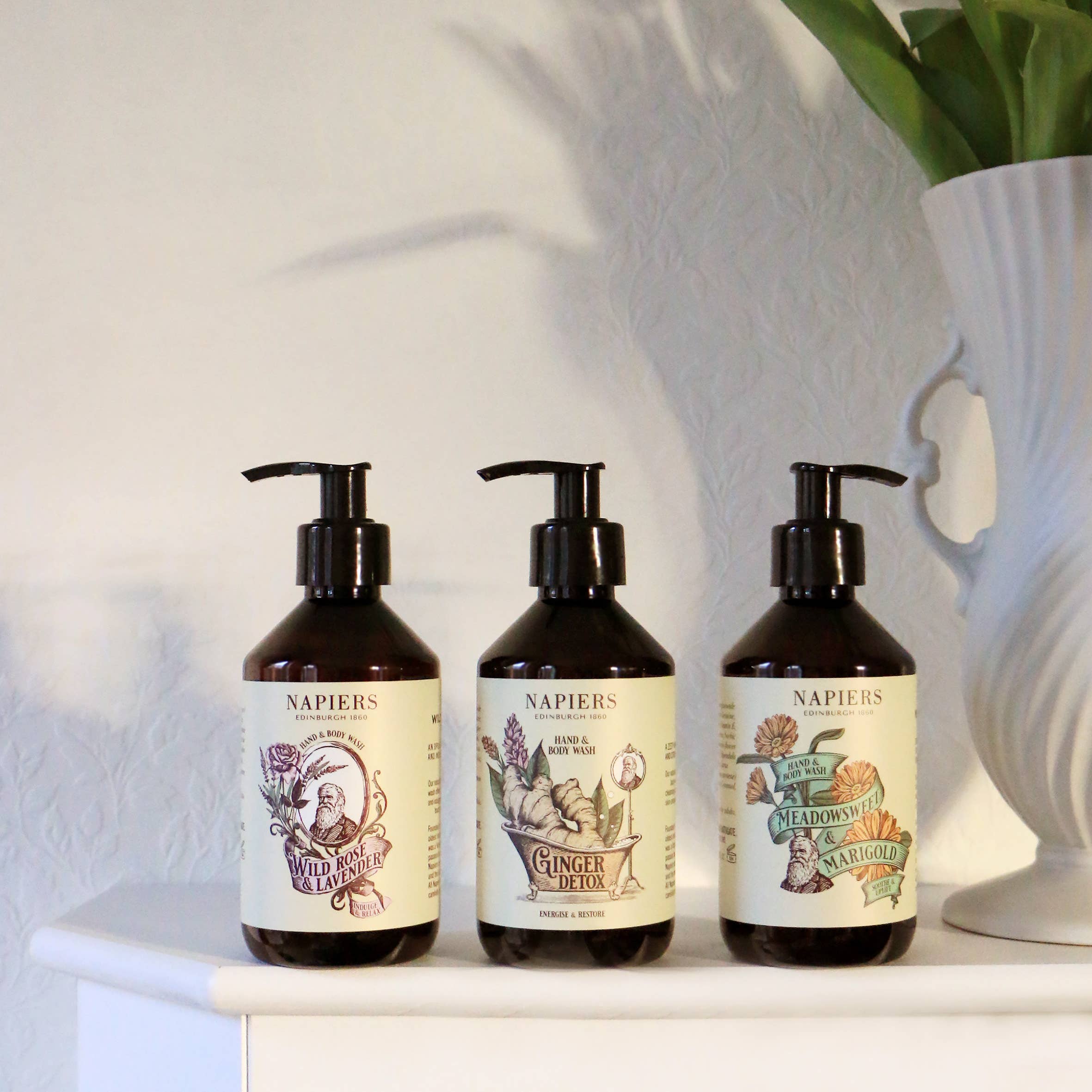 Napiers Ginger Detox Hand and Body Wash