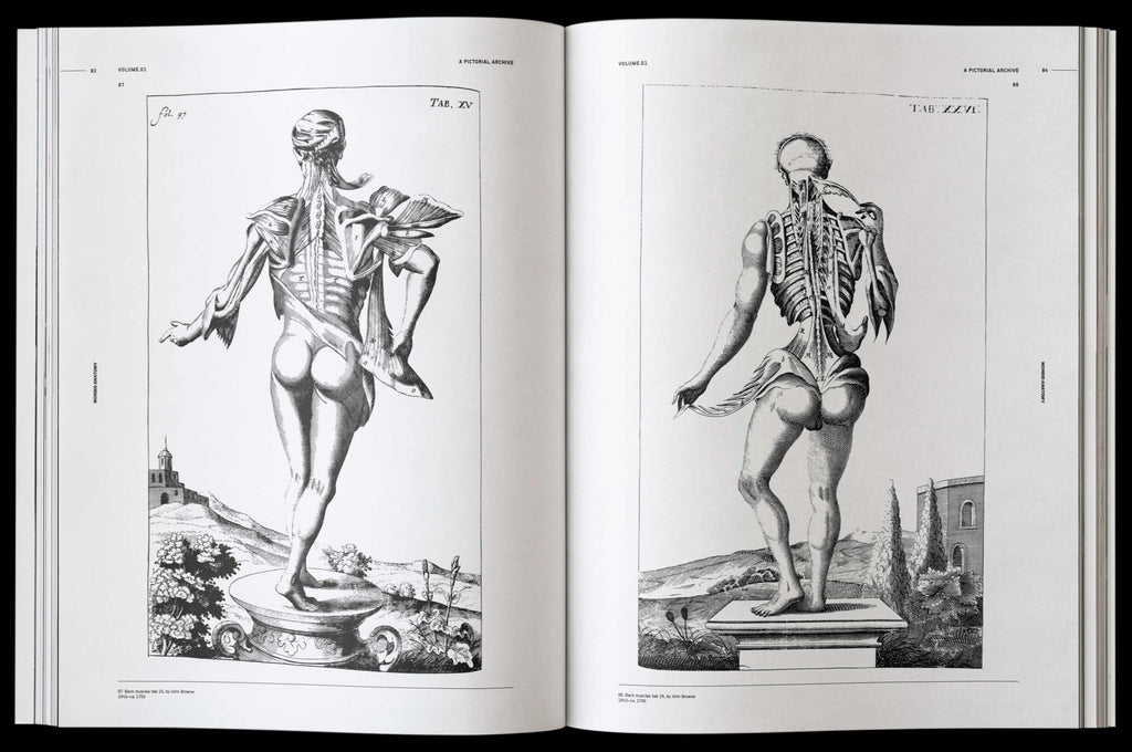 Morbid Anatomy Book by James Kale