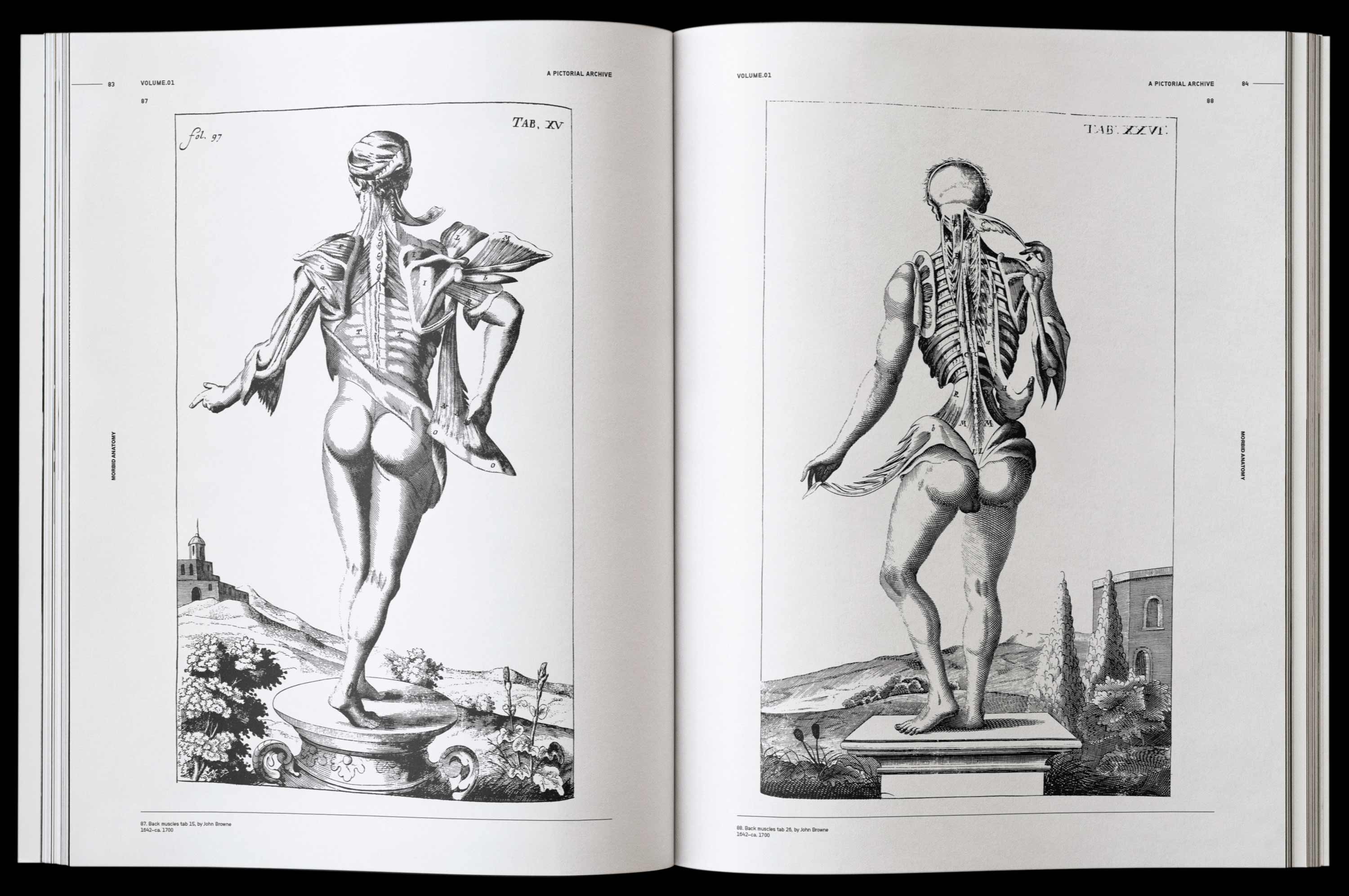 Vault Editions Morbid Anatomy Book by James Kale