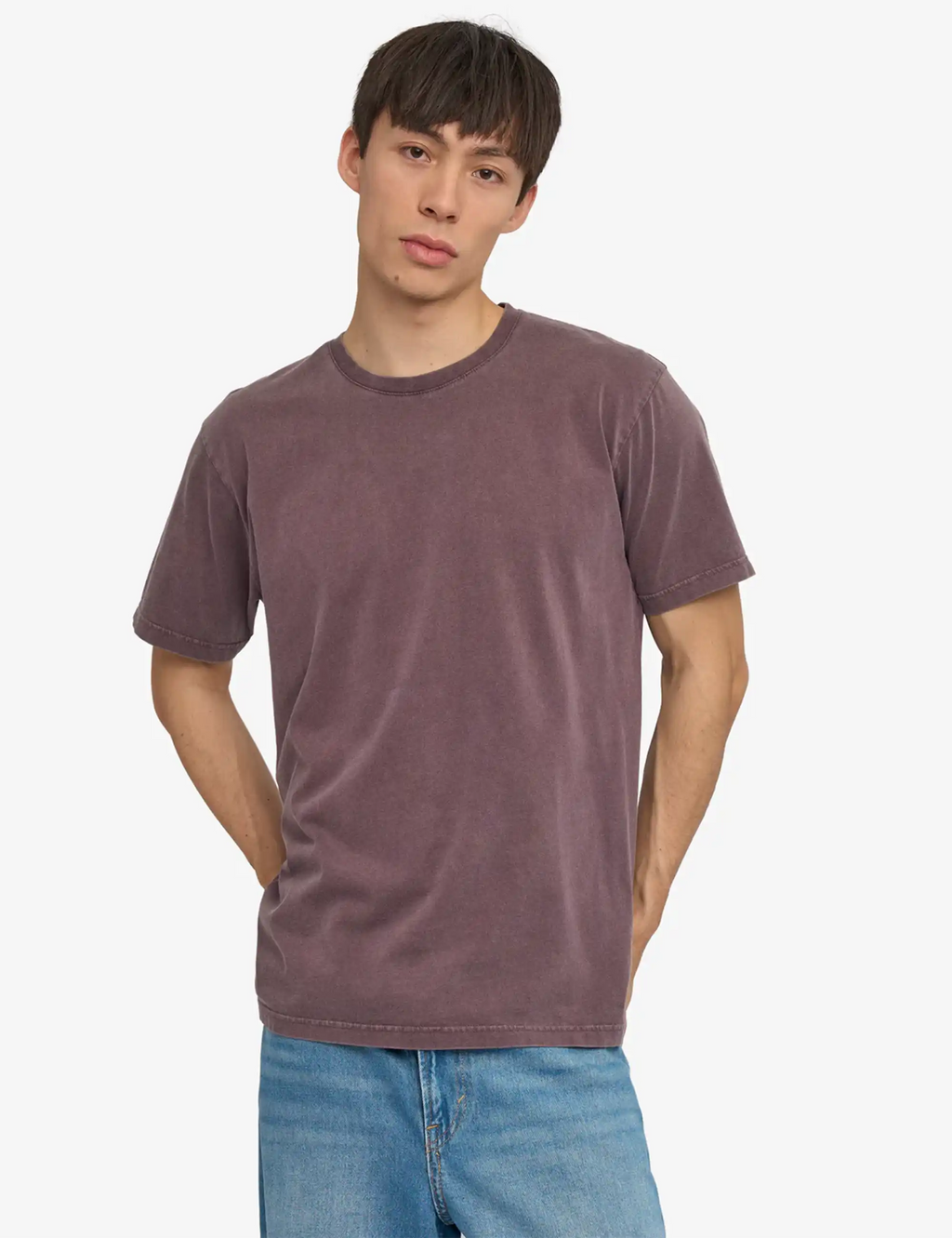 Classic organic t-shirt in faded grape purple, crew neck, short sleeves