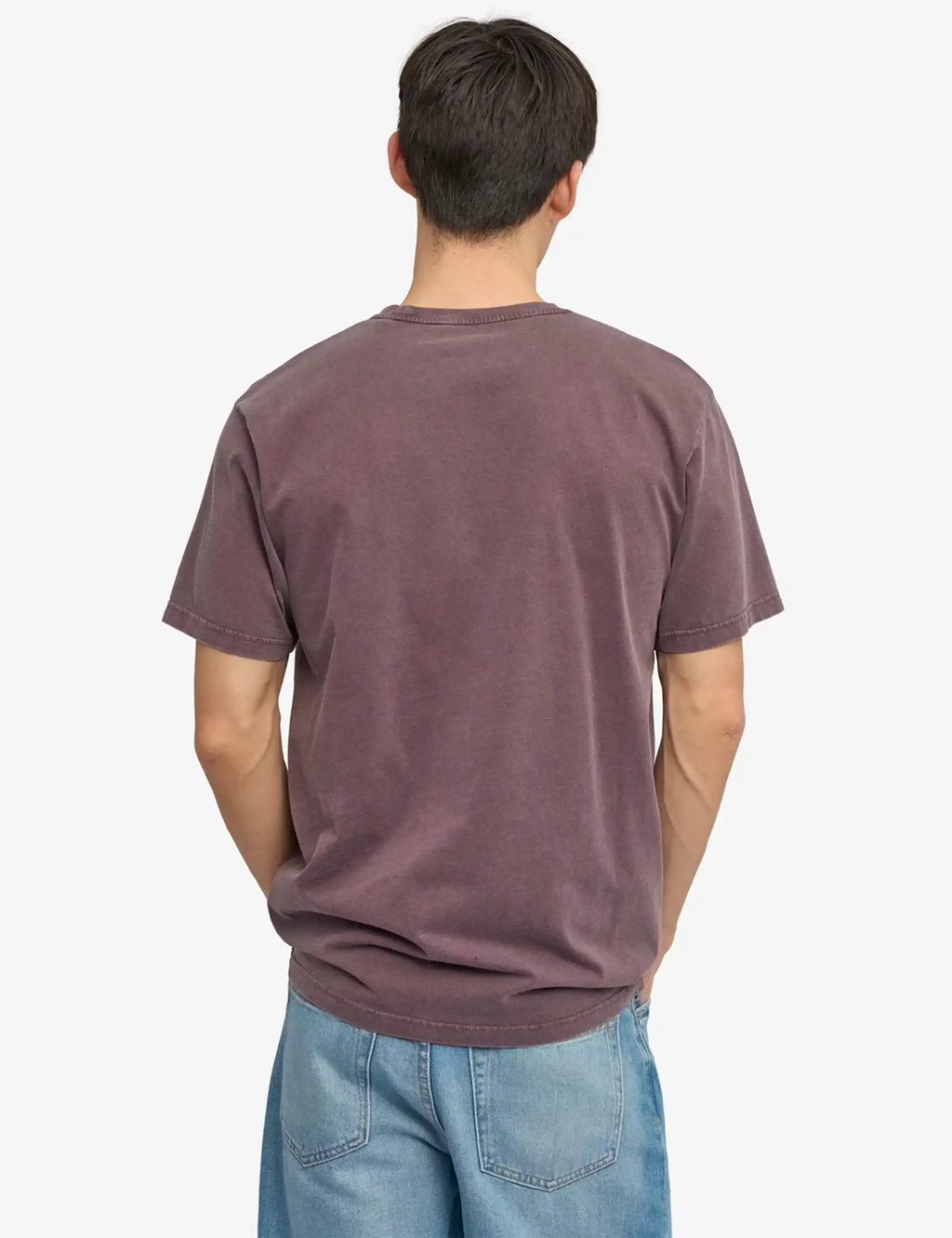 Faded grape purple organic t-shirt, back view, crew neck, short sleeves