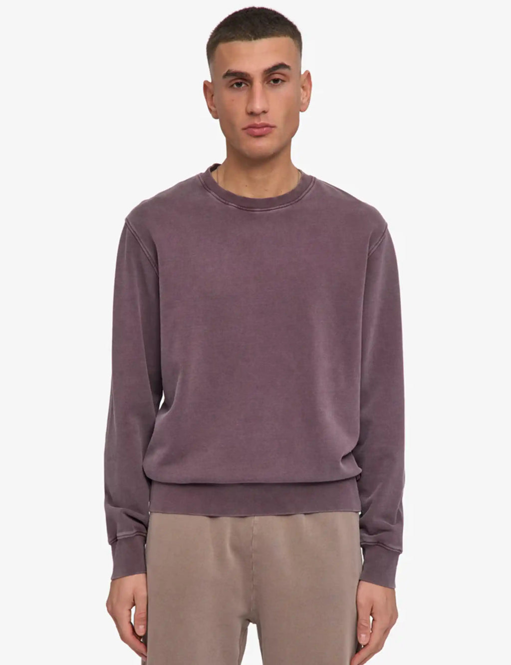 Faded grape crewneck sweatshirt with long sleeves and ribbed hem, relaxed fit