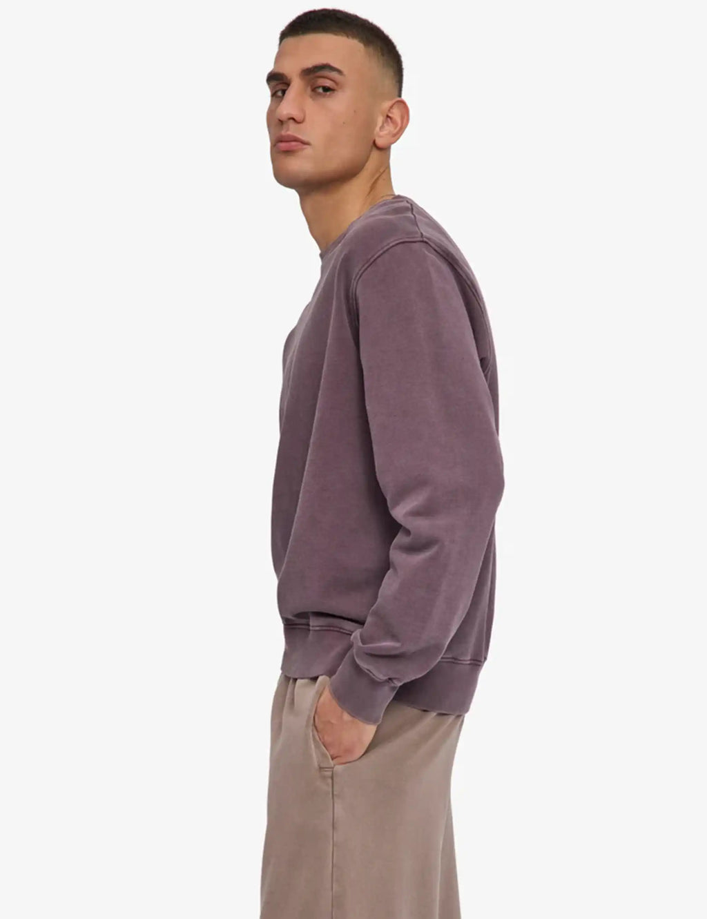 Faded grape crewneck sweatshirt with long sleeves and ribbed cuffs, side view