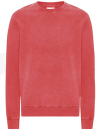 Organic Crew Sweat - Faded Red