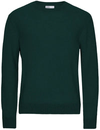 Classic Merino Wool Crew Sweater - Emerald Green