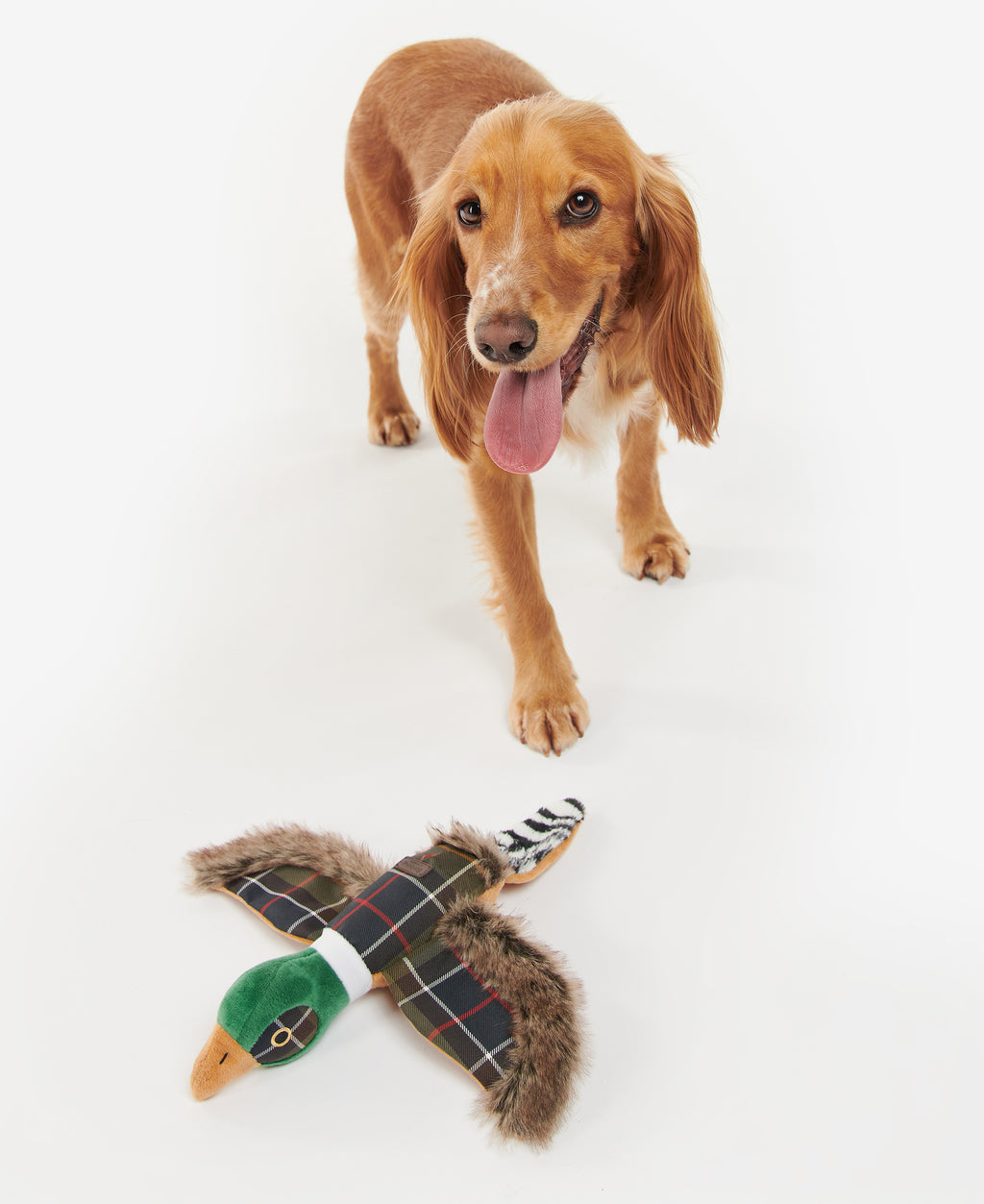 Plush pheasant dog toy with green head, tan beak, and tartan body wings