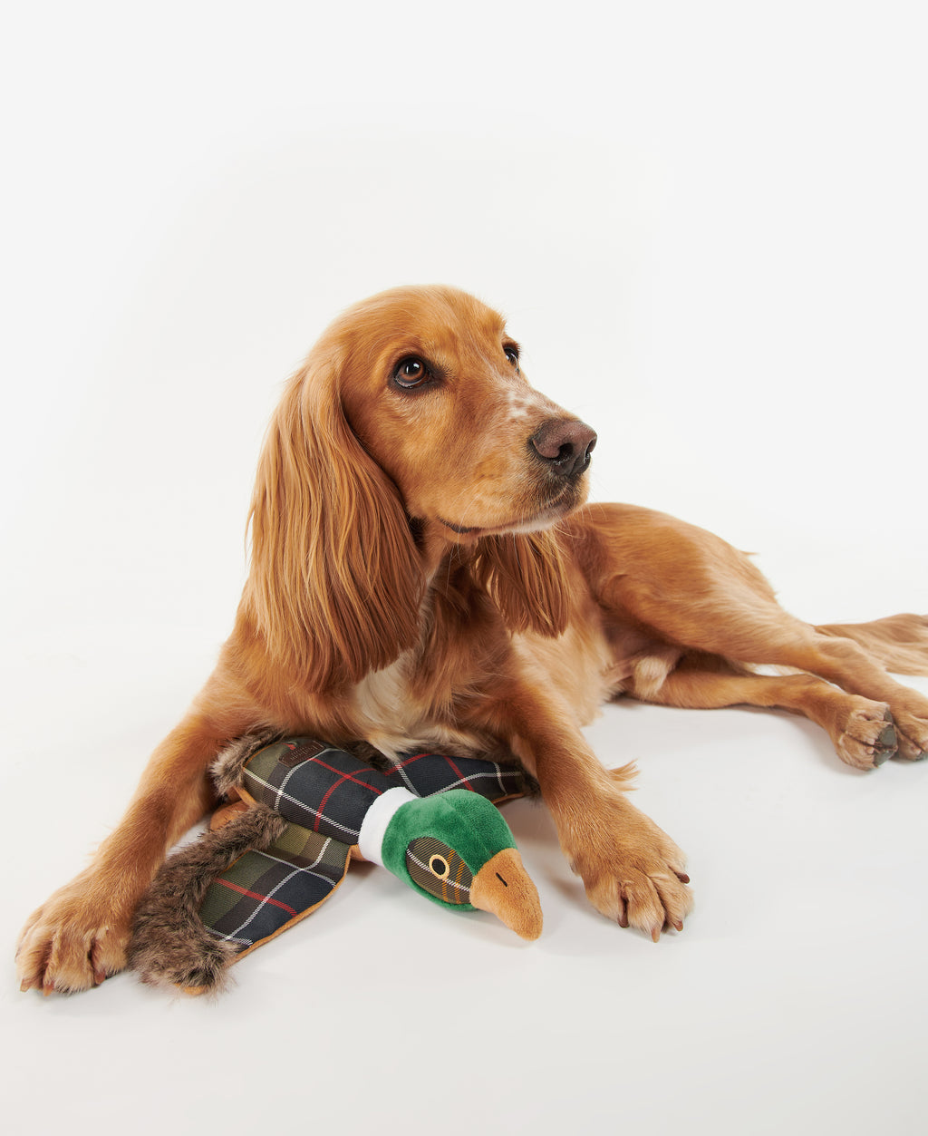 Plush pheasant dog toy in green and tartan fabric with soft fur trim