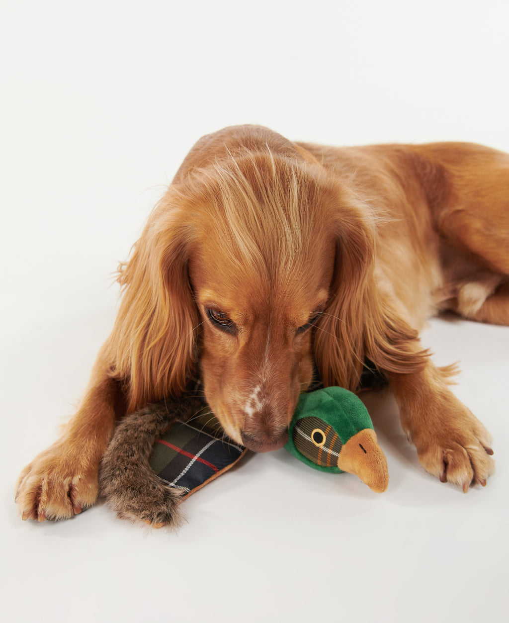 Plush pheasant dog toy with green head and dark plaid wings with fur edges