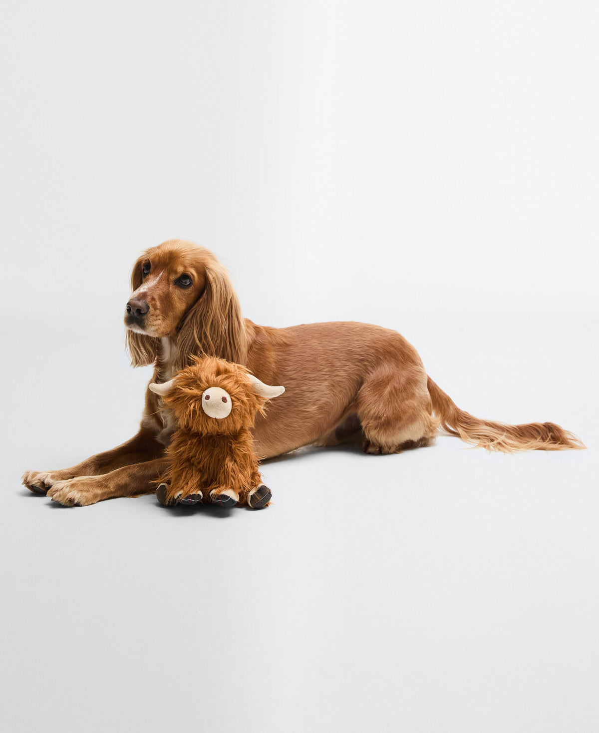 Barbour Highland Cow Dog Toy - Brown/Classic