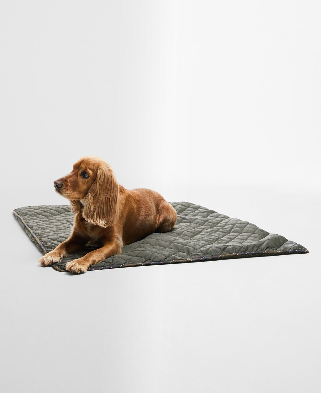 Dog quilt and fleece blanket in olive, quilted outer with stitched edges