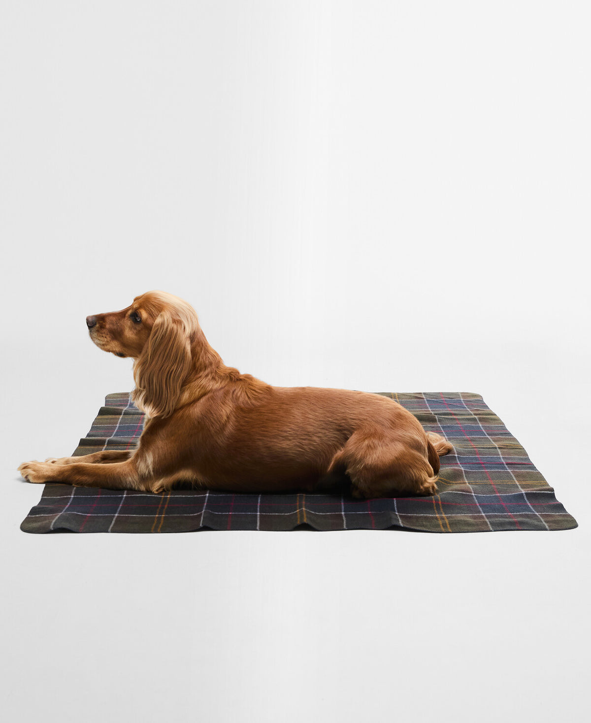 Barbour Tartan Dog Blanket - Classic Tartan