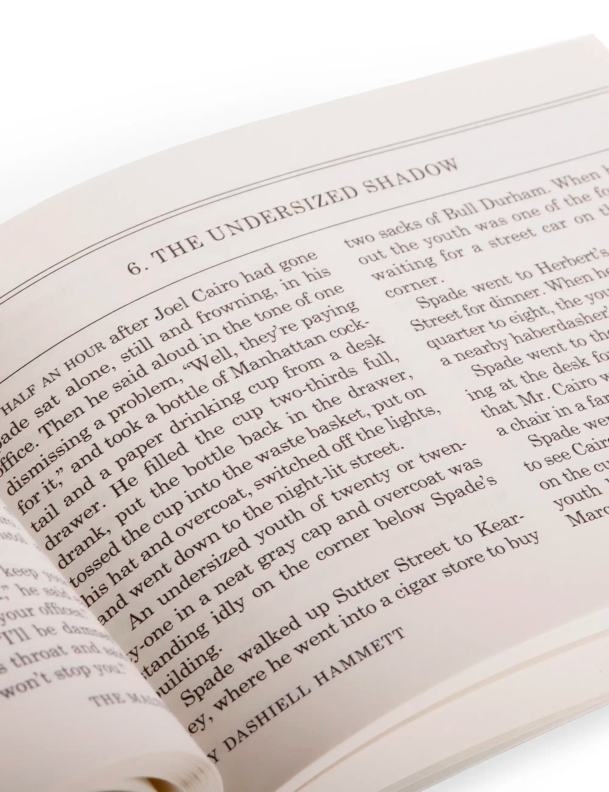 Field Notes The Maltese Falcon