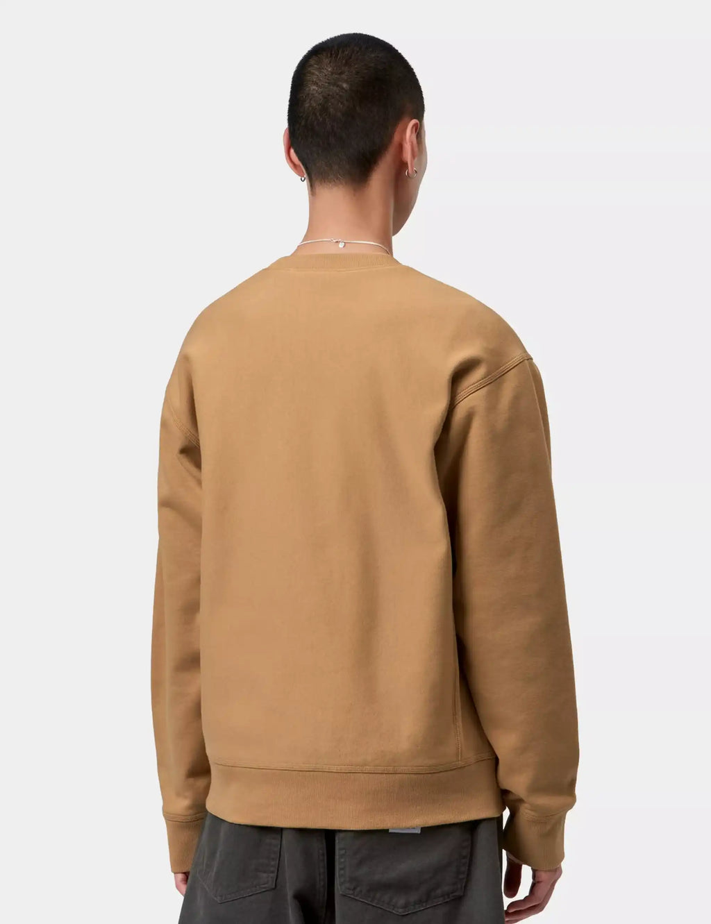 Carhartt WIP crew sweatshirt back view in dusty tan, ribbed hem and cuffs