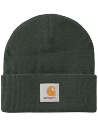 Short Watch Hat - Dark Scarab