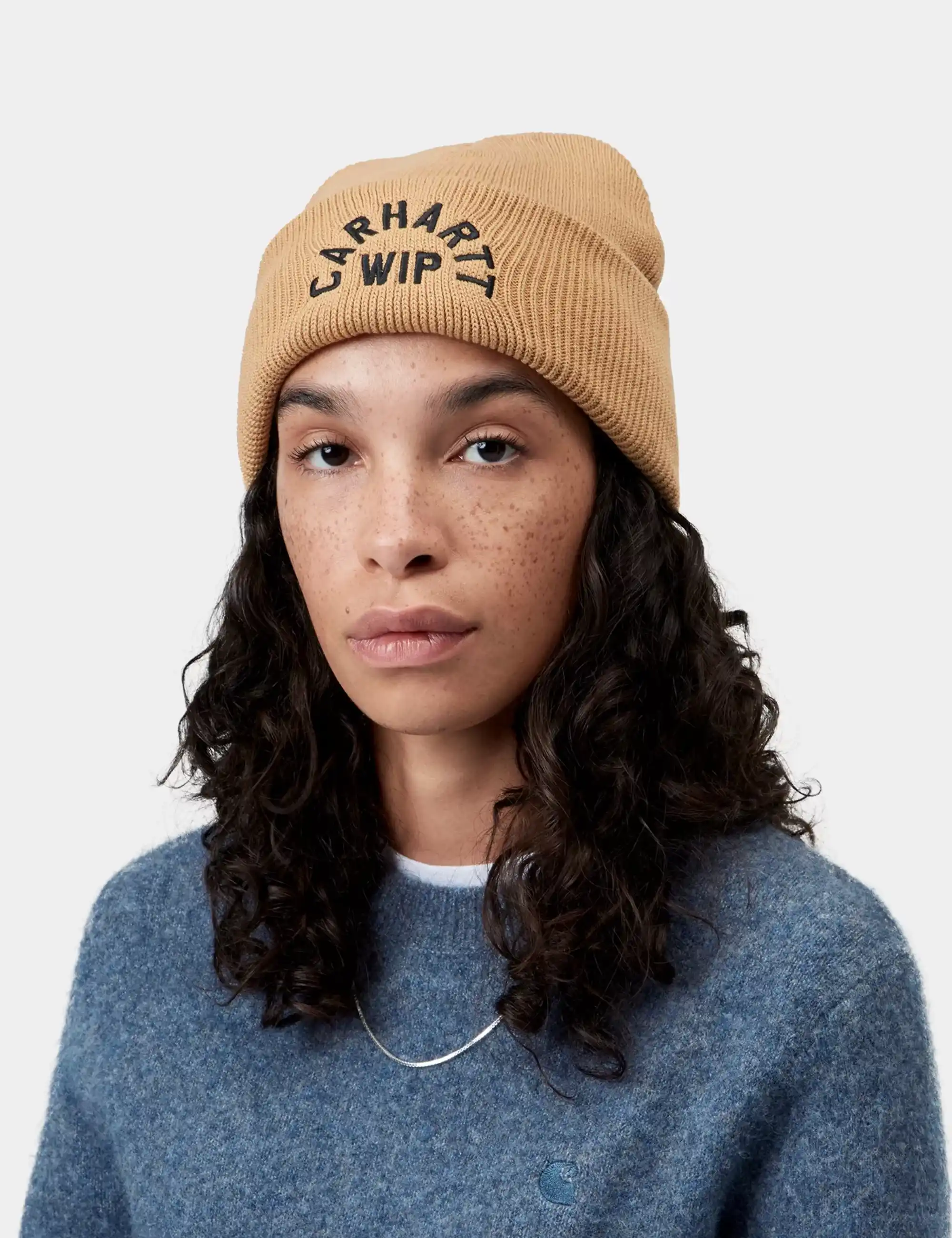 Carhartt WIP Arch Script Beanie Hat - WIP Dusty H/Black