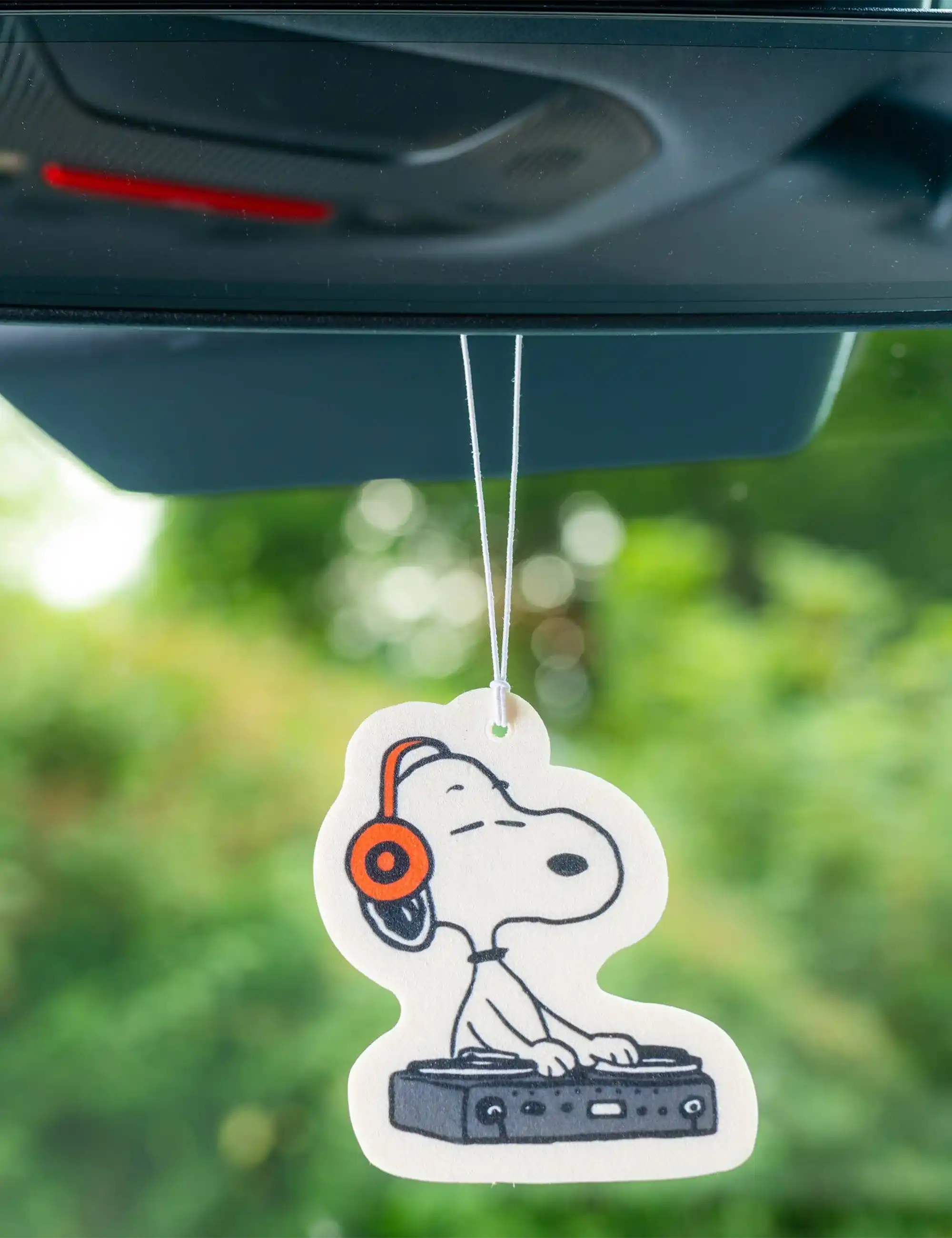 Peanuts Peanuts Air Refreshener - DJ